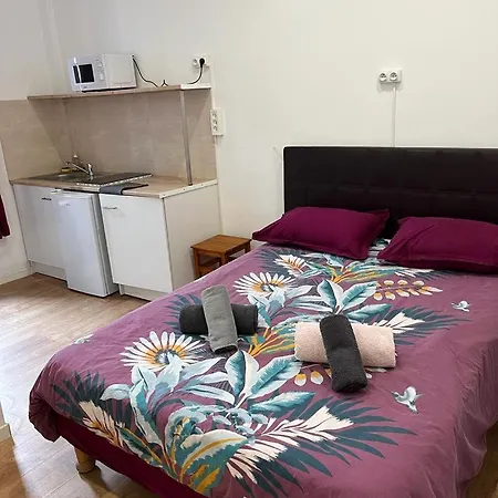 Vandrerhjem Lyonnais *