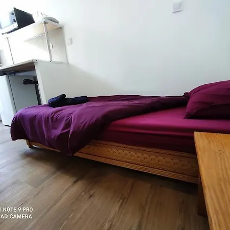 Vandrerhjem Lyonnais *